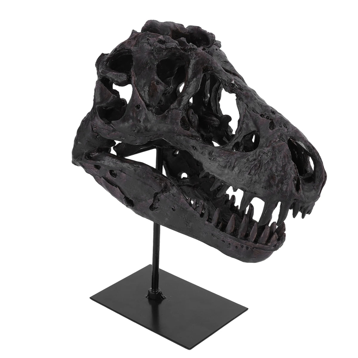 Dinosaur Fossil Figurine Resin Replica Head Sculptures with Bracket Skull Sculptures Home Office Decorations