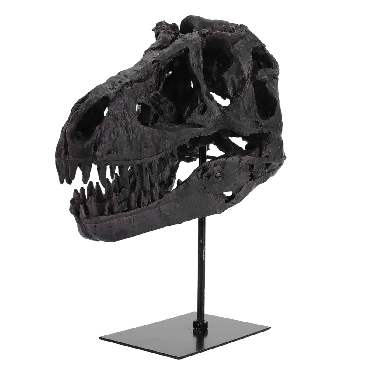 Dinosaur Fossil Figurine Resin Replica Head Sculptures with Bracket Skull Sculptures Home Office Decorations